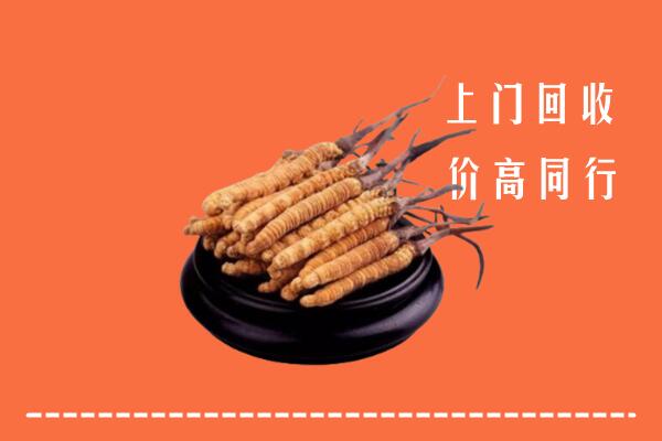 高价求购：玉山县回收散虫草
