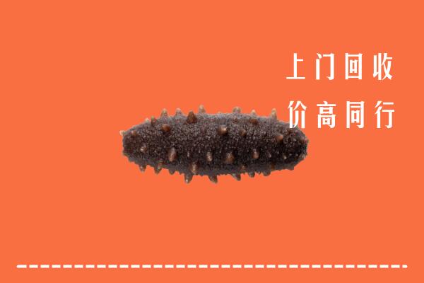 高价求购：玉山县回收海参