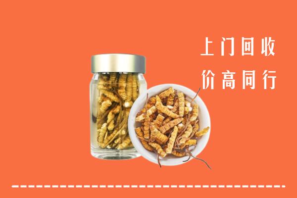 玉山县高价回收冬虫夏草